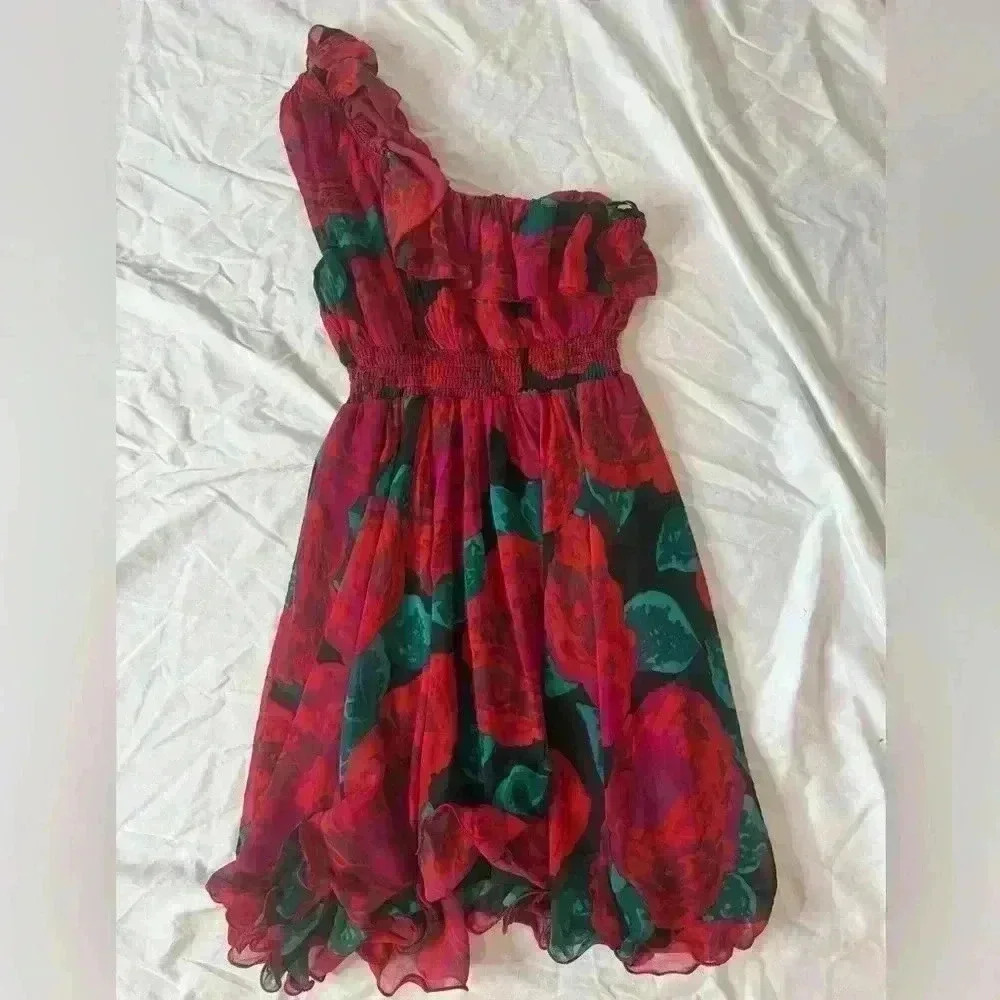 Arden B One-Shoulder Floral Dress in Red and Green